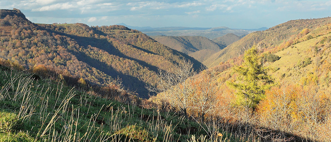 L'Artisan immobilier Auvergne